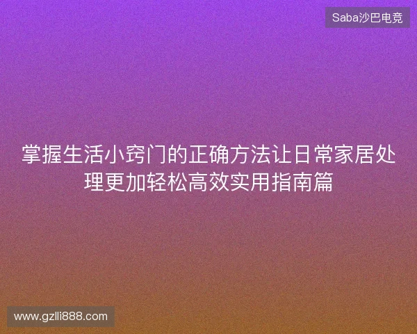 掌握生活小窍门的正确方法让日常家居处理更加轻松高效实用指南篇